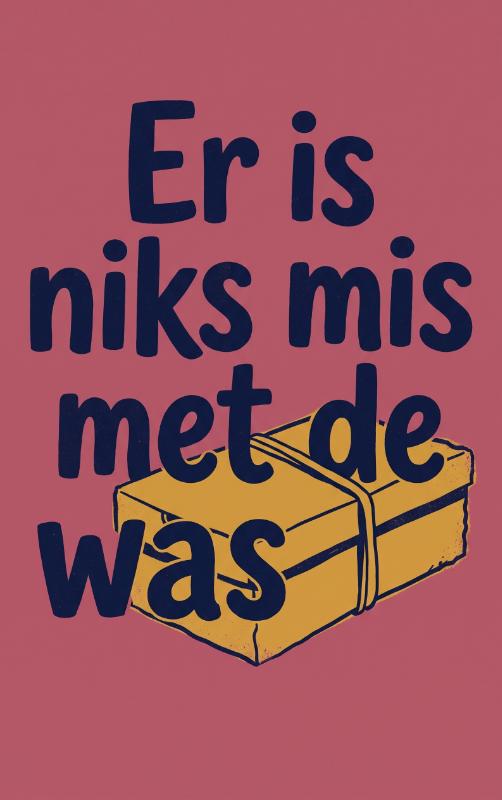 Omslag van Er is niks mis met de was