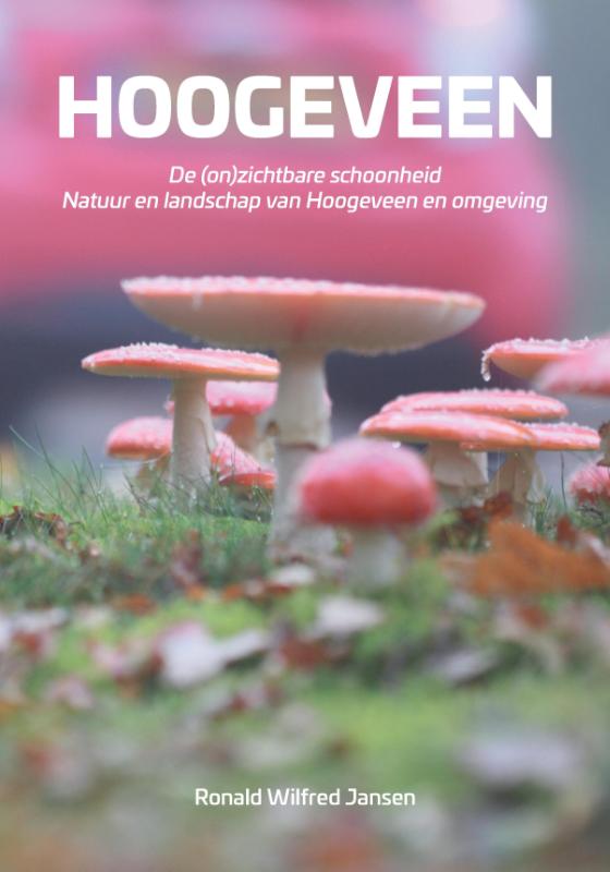 Omslag van Hoogeveen. De (on)zichtbare schoonheid. Natuur en landschap van Hoogeveen en omgeving