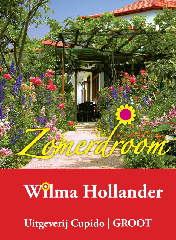 Omslag van Zomerdroom