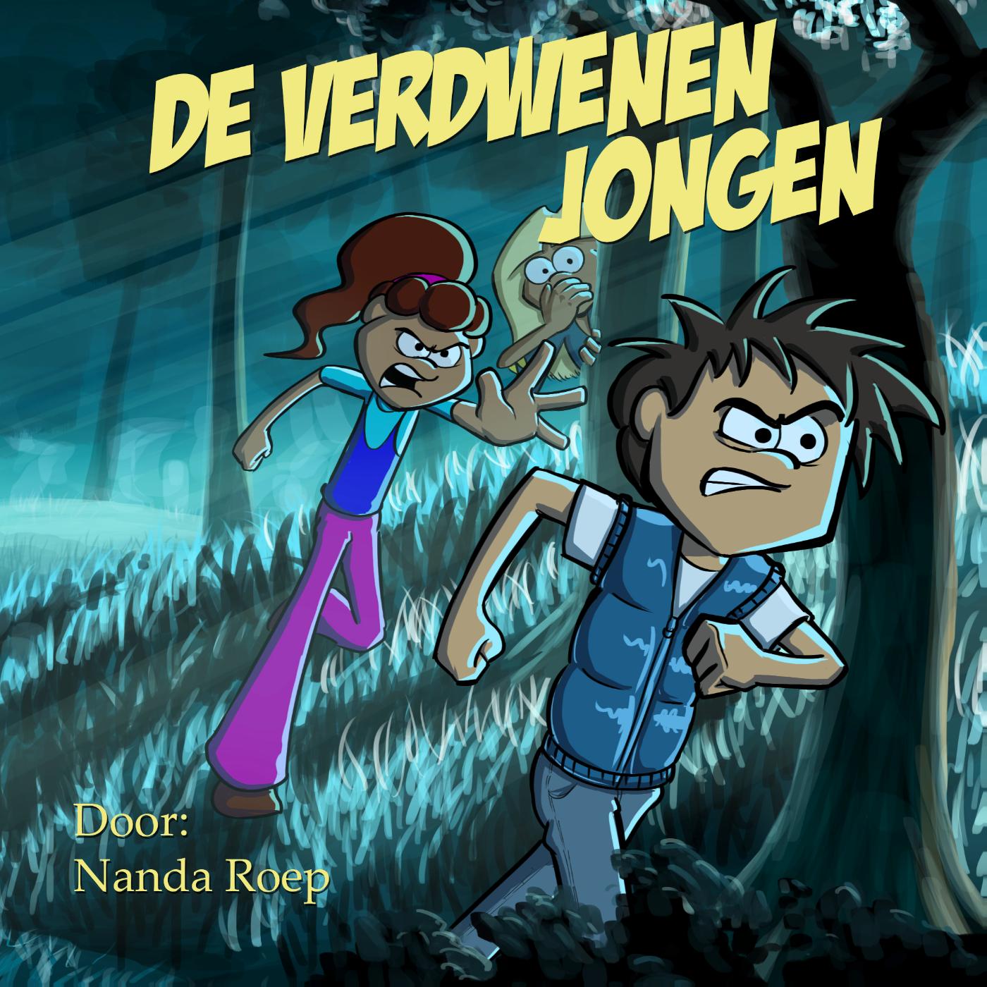 Omslag van De verdwenen jongen