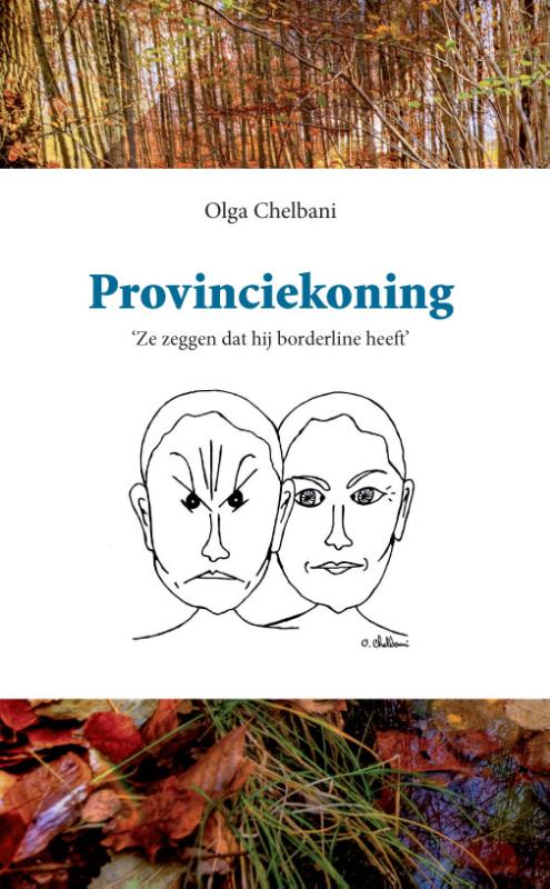 Omslag van Provinciekoning