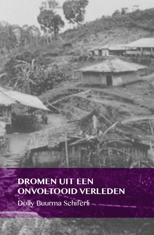 Omslag van Dromen uit een onvoltooid verleden