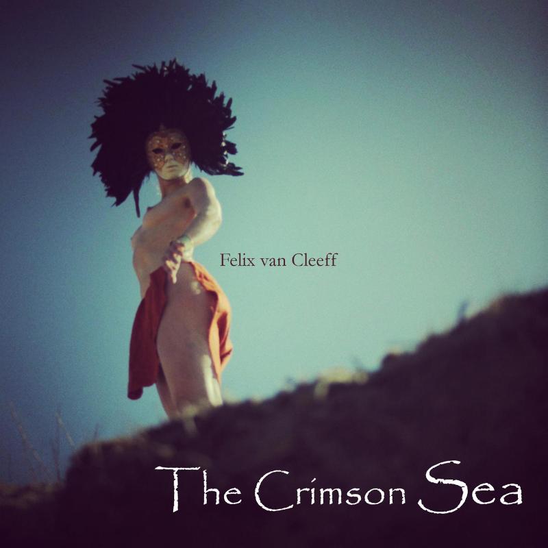Omslag van The crimson sea