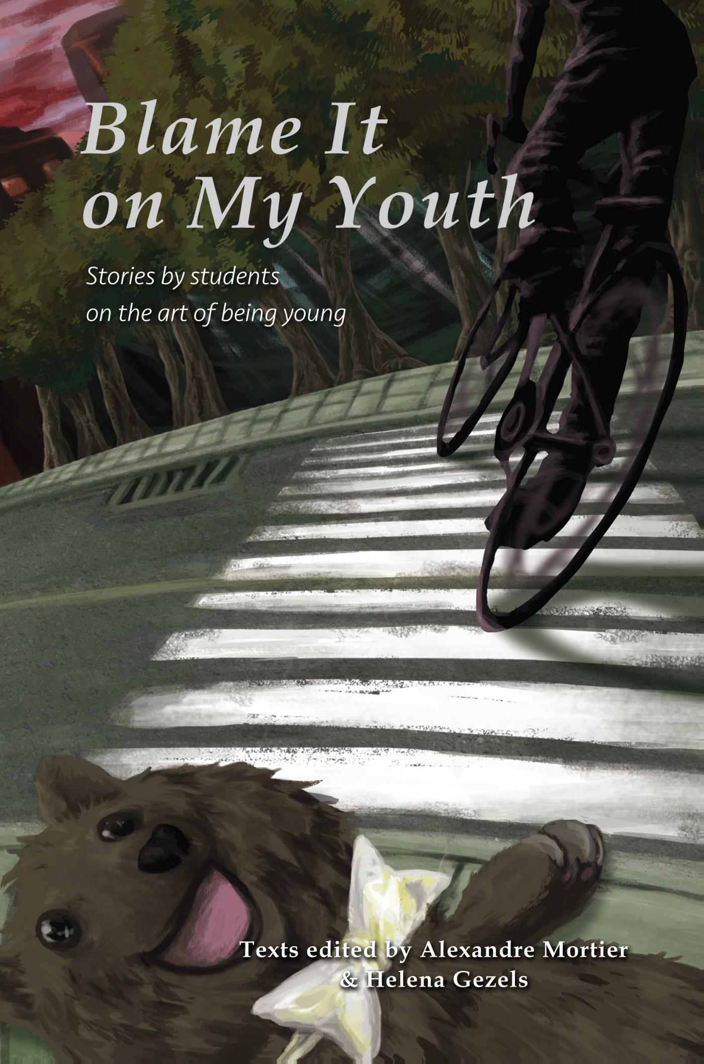 Omslag van Blame it on my youth