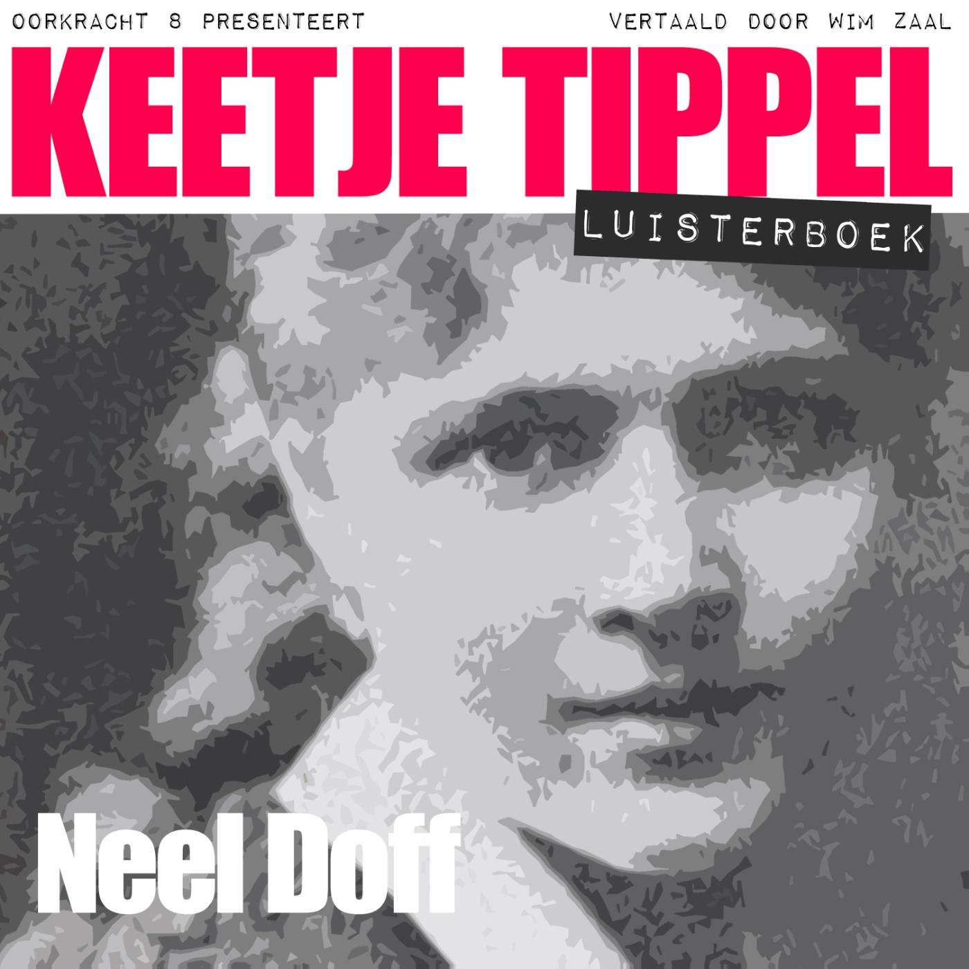 Omslag van Keetje Tippel