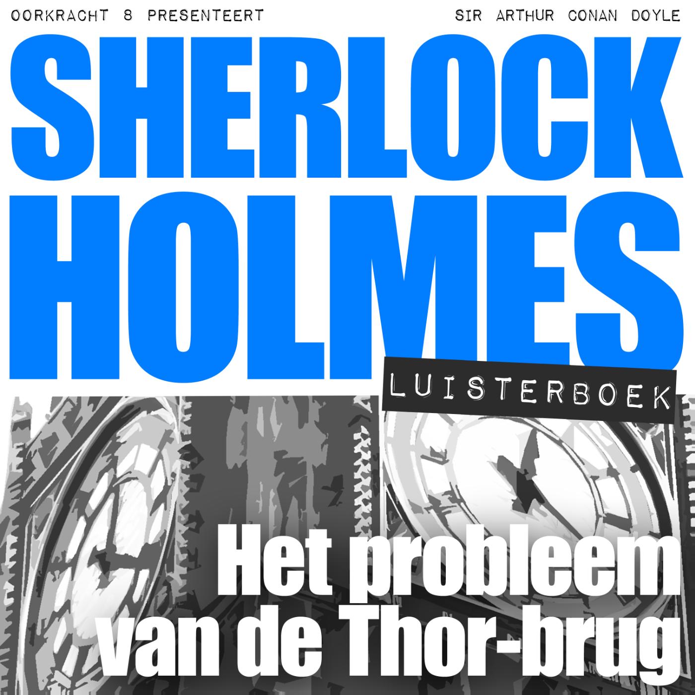 Omslag van Het probleem van de Thor-brug