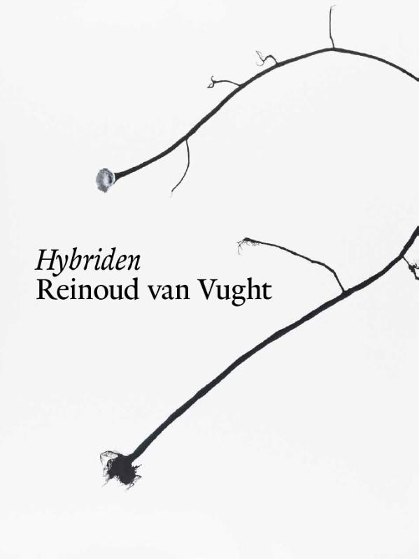 Omslag van Hybriden