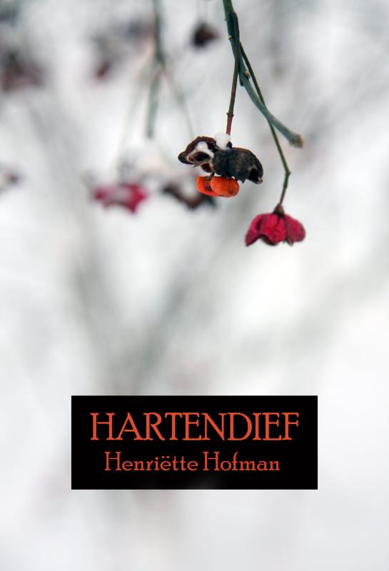 Omslag van Hartendief