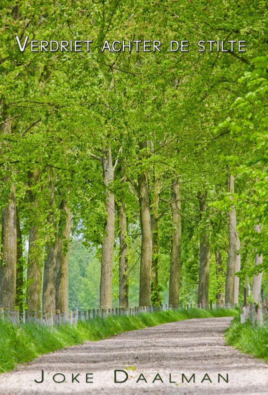 Omslag van Verdriet achter de stilte