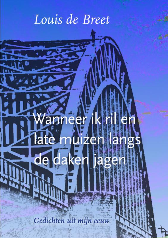 Omslag van Wanneer ik ril en late muizen langs de daken jagen