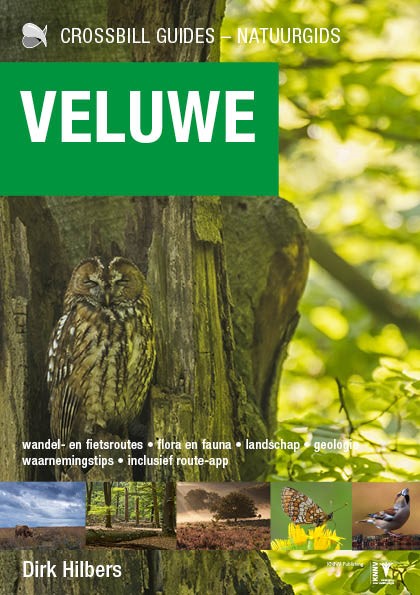 Omslag van Veluwe