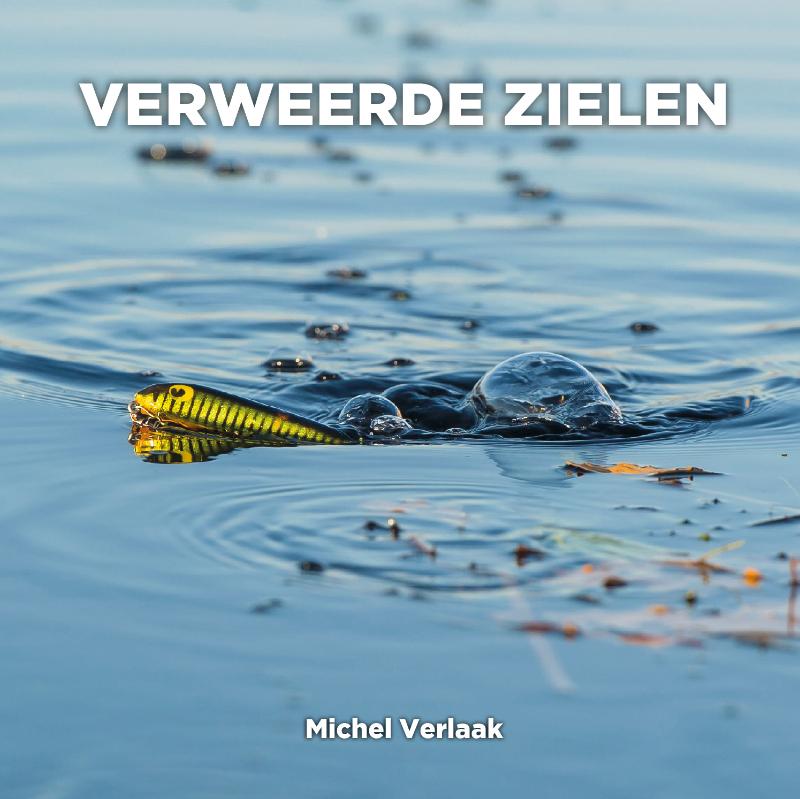 Omslag van Verweerde Zielen