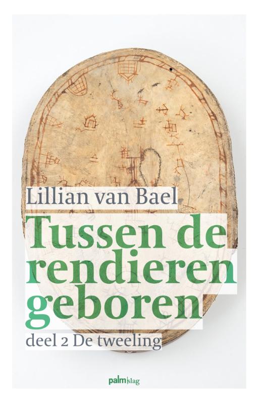 Omslag van De tweeling