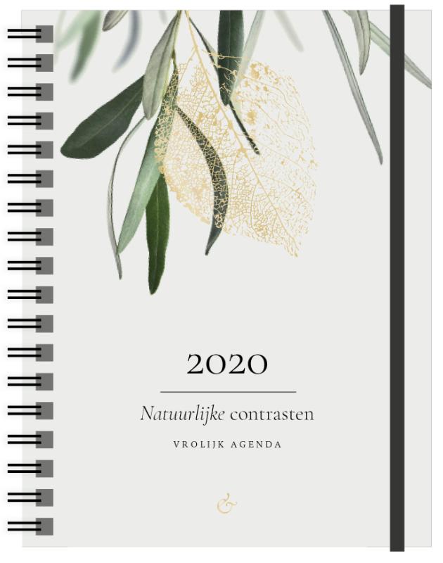 Omslag van Vrolijk Agenda 2020 groot