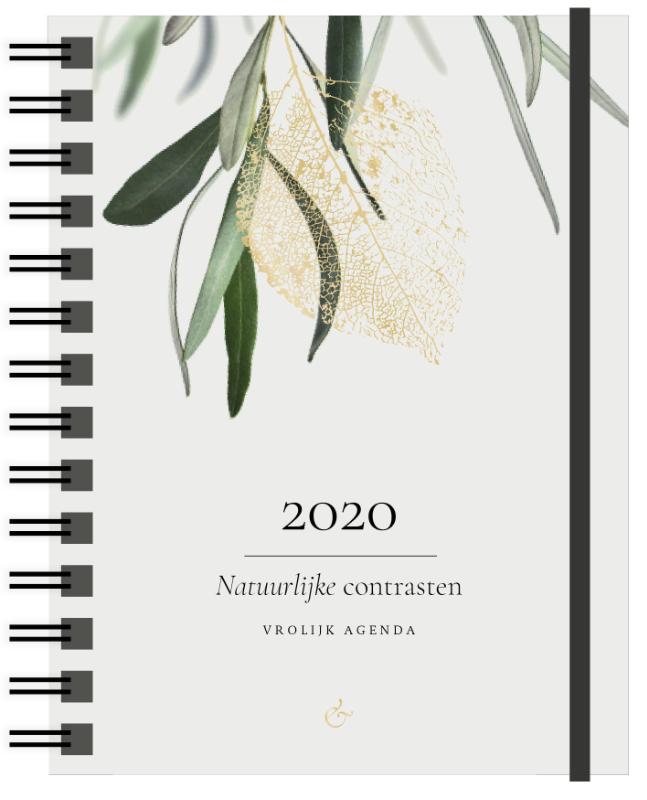 Omslag van Vrolijk Agenda 2020 klein