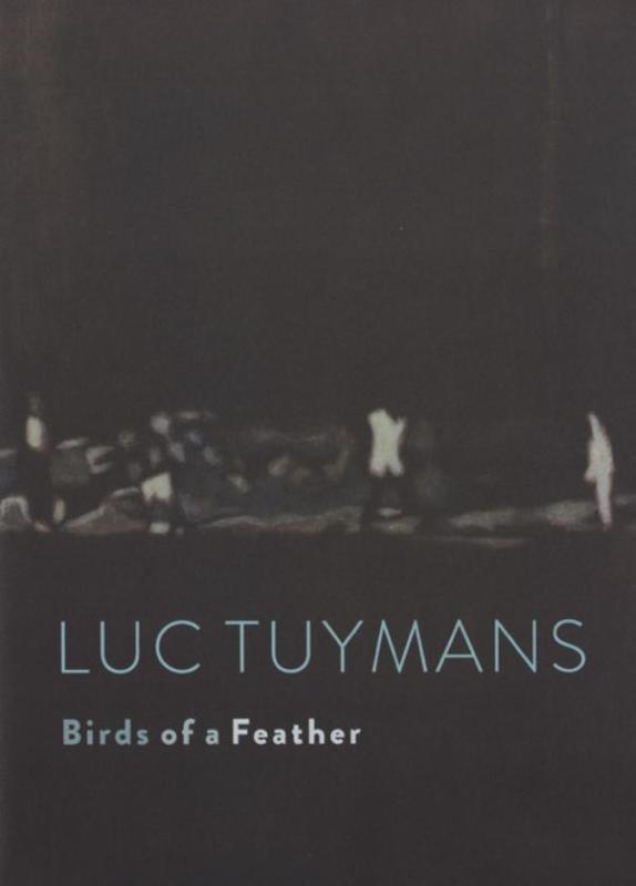 Omslag van Luc Tuymans