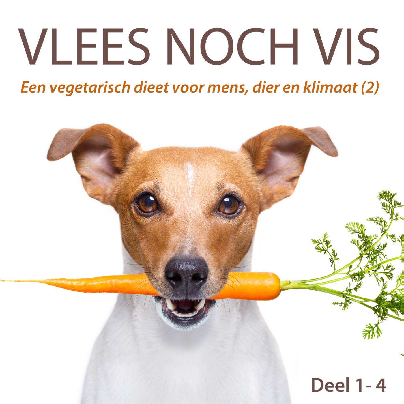 Omslag van Een vegetarisch dieet voor mens, dier en klimaat