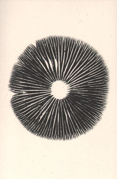 Omslag van The mushroom project