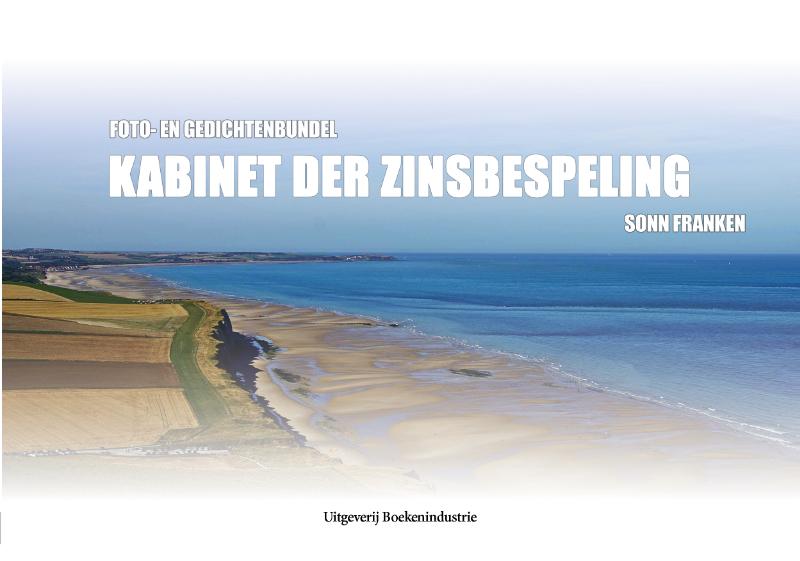 Omslag van Kabinet der zinbespeling