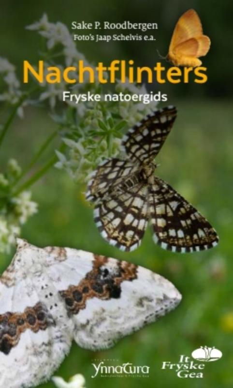 Omslag van Nachtflinters