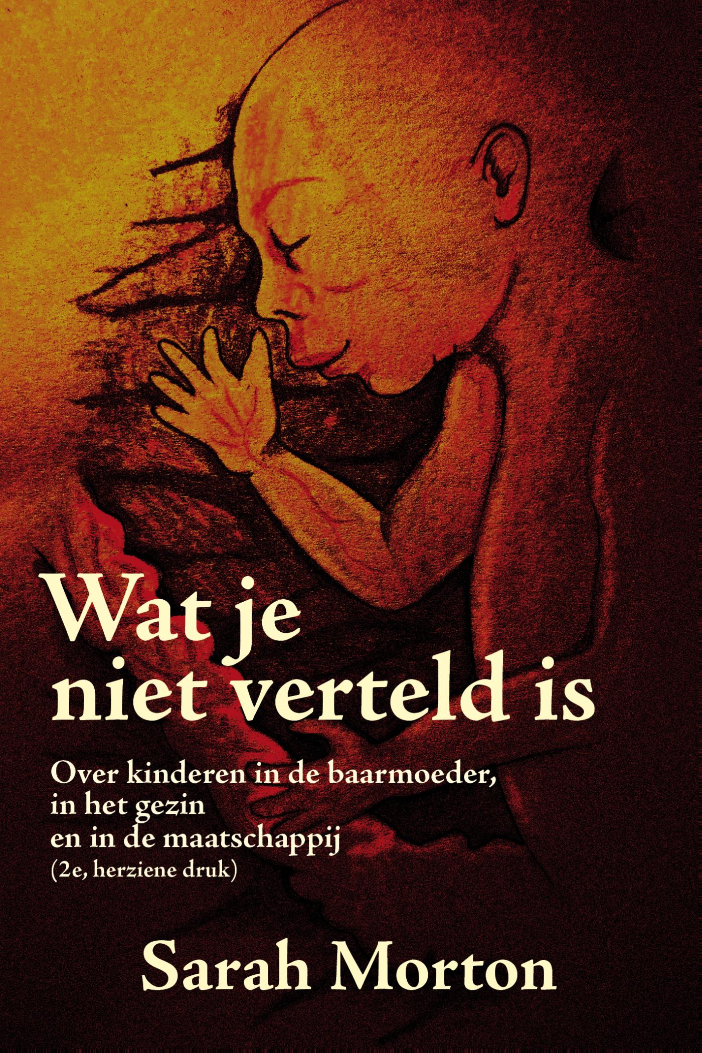 Omslag van Wat je niet verteld is...