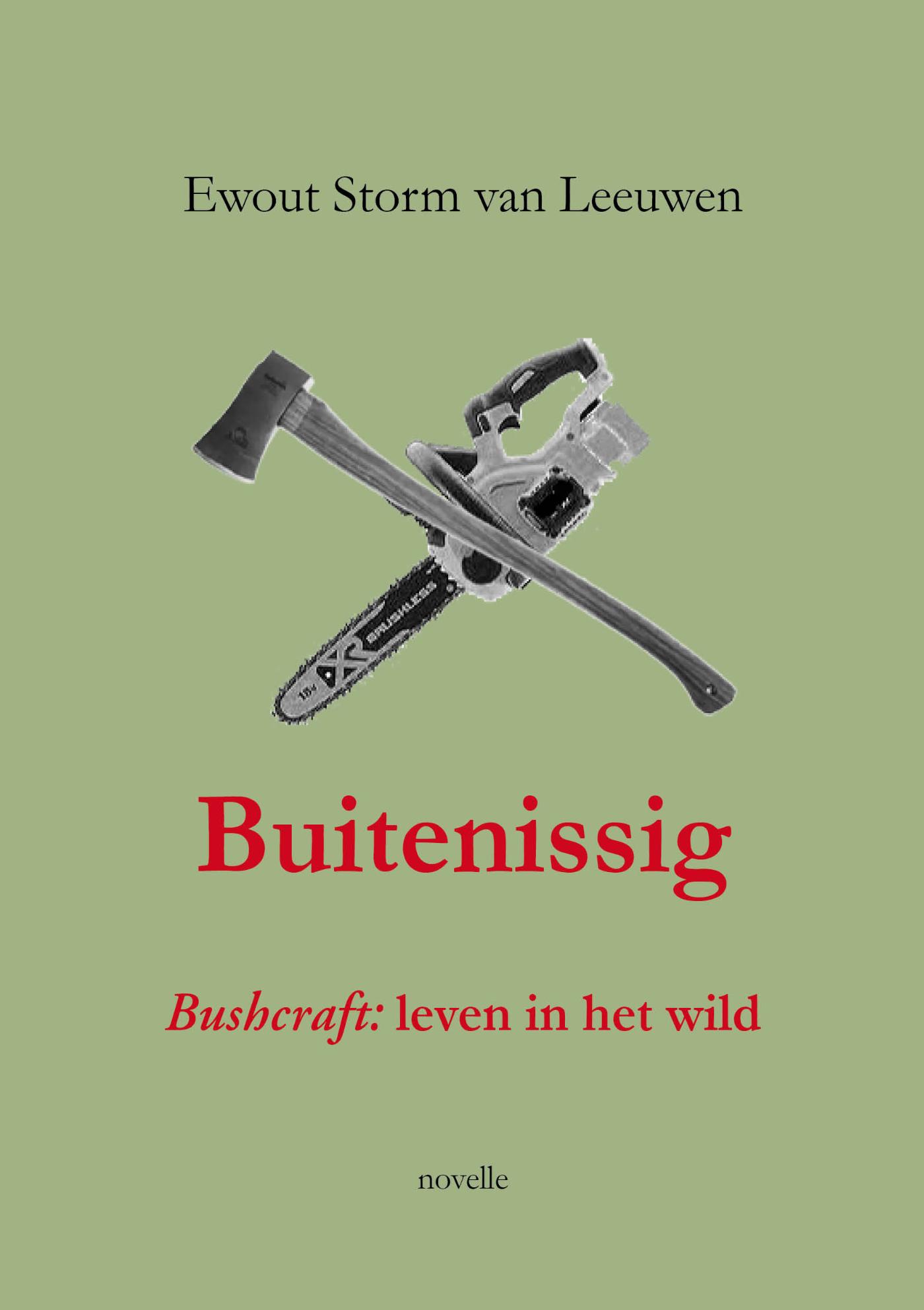 Omslag van Buitenissig