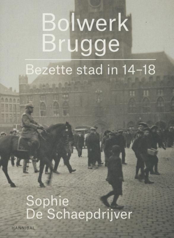Omslag van Bolwerk Brugge