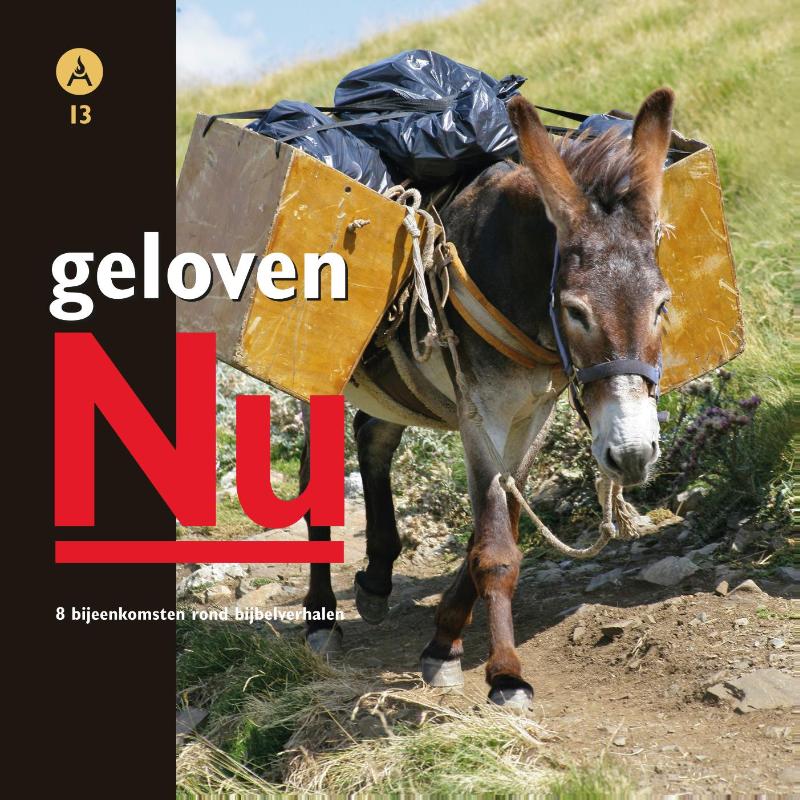 Omslag van Geloven nu