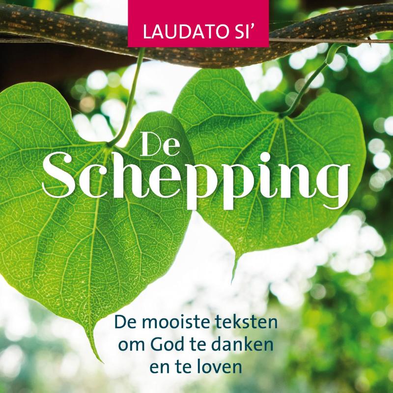 Omslag van Schepping