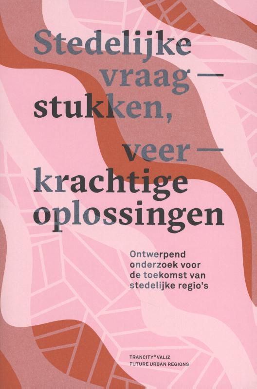 Omslag van Stedelijke vraagstukken, veerkrachtige oplossingen
