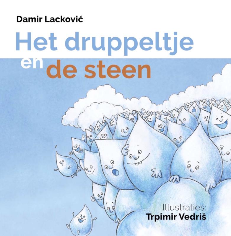 Omslag van Het druppeltje en de steen