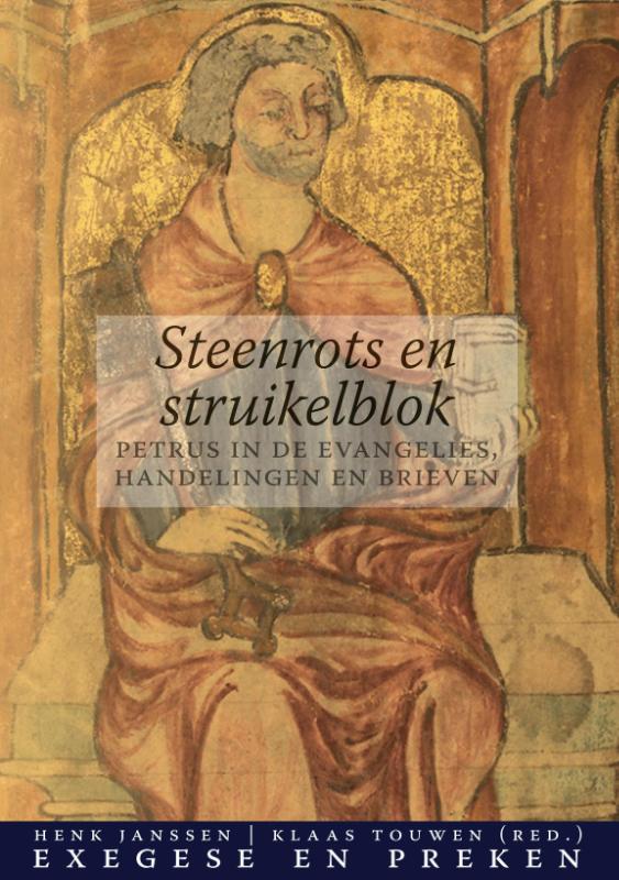 Omslag van Steenrots en struikelblok