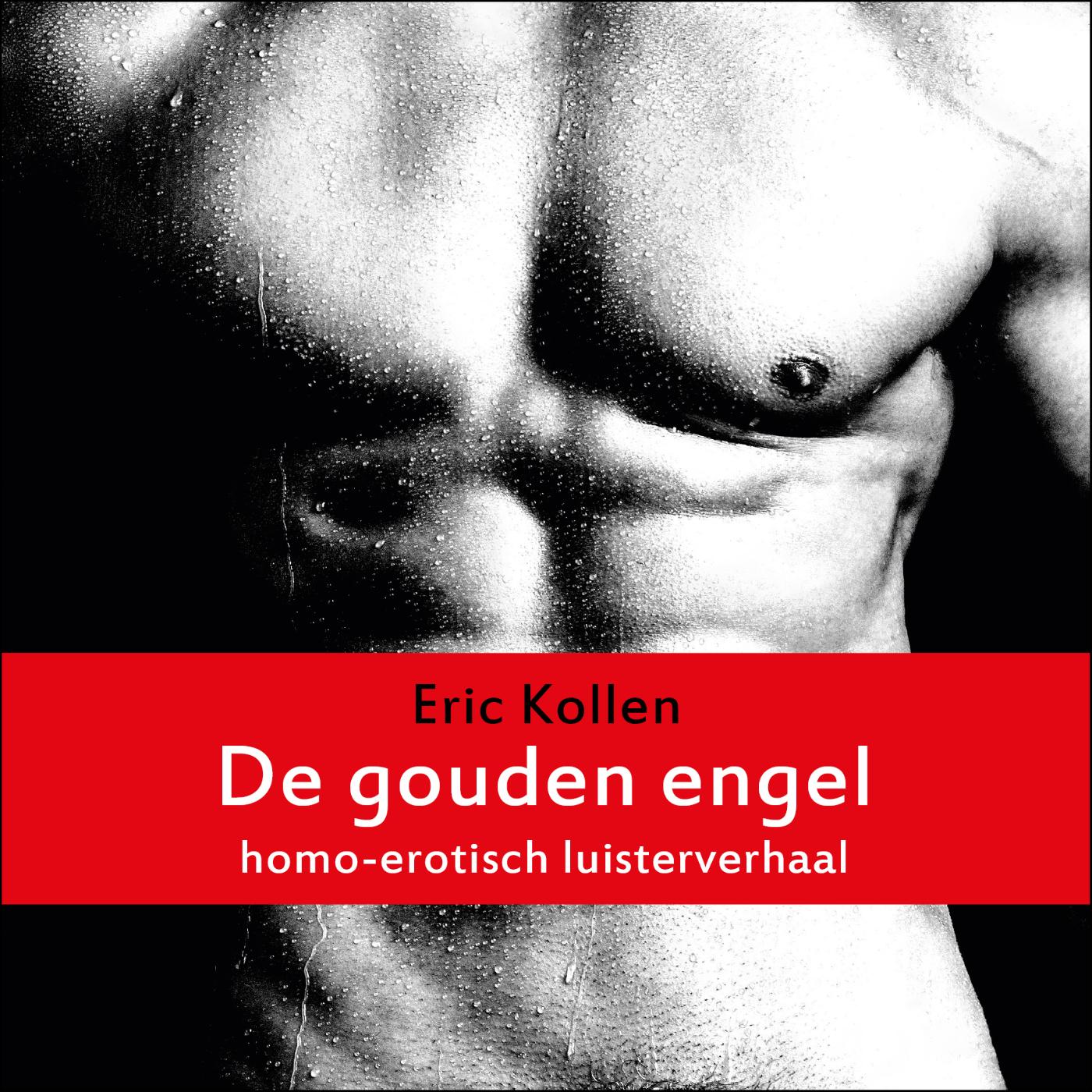 Omslag van De gouden engel