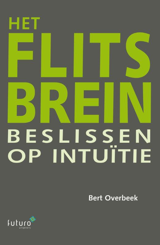 Omslag van Het flitsbrein