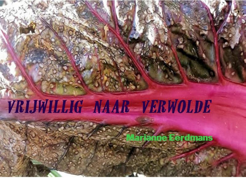 Omslag van Vrijwillig naar Verwolde