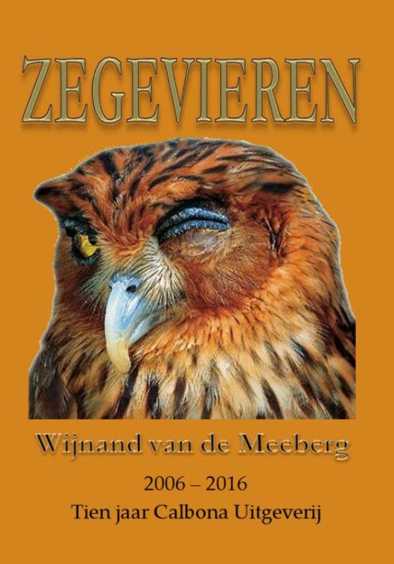 Omslag van Zegevieren