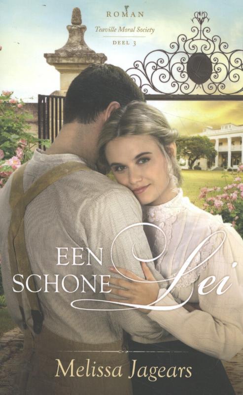 Omslag van Een schone lei
