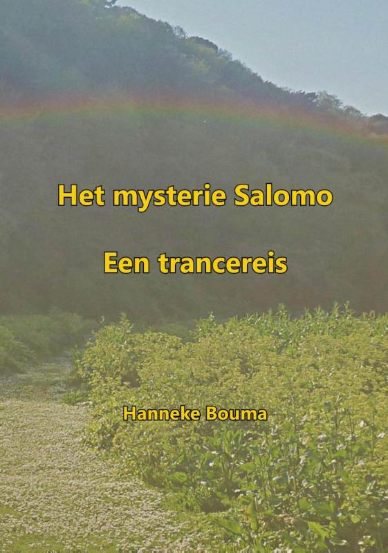 Omslag van Het mysterie Salomo