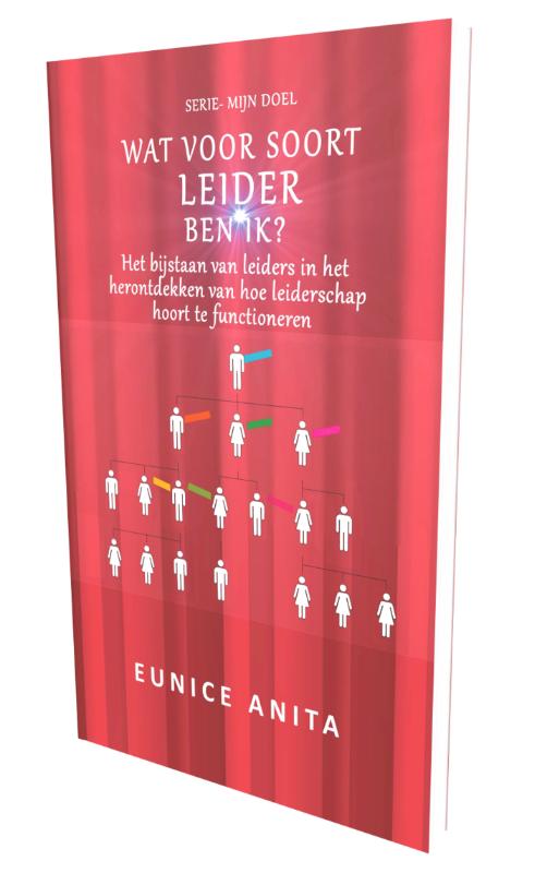 Omslag van Wat voor soort leider ben IK?