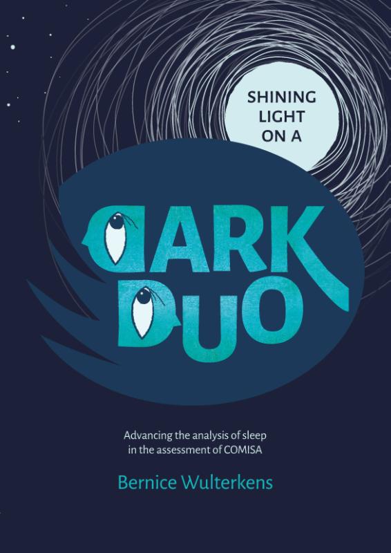Omslag van Shining light on a dark duo