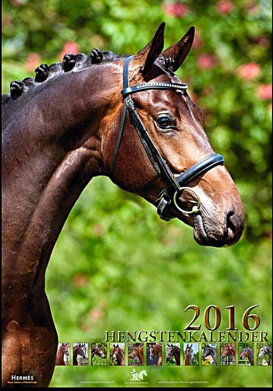 Omslag van 2016