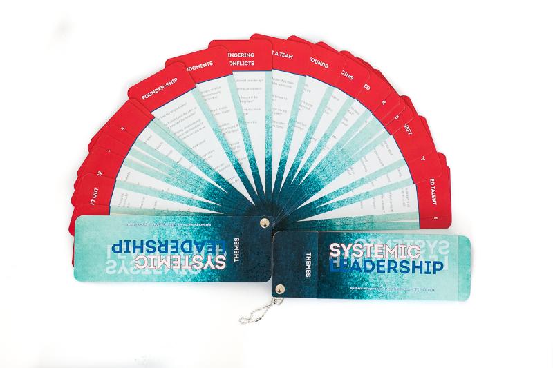 Omslag van Systemic Leadership Fan
