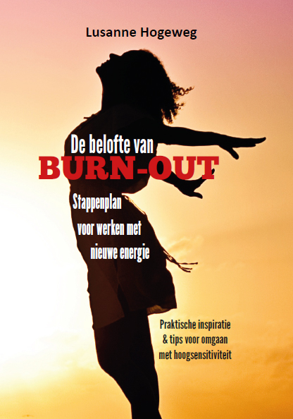 Omslag van De belofte van burn-out