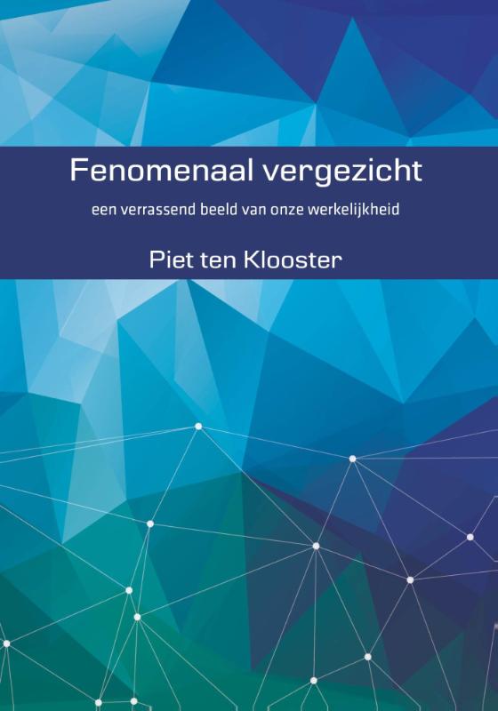 Omslag van Fenomenaal vergezicht