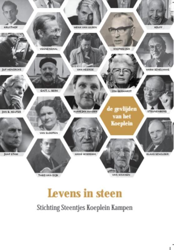 Omslag van Levens in steen