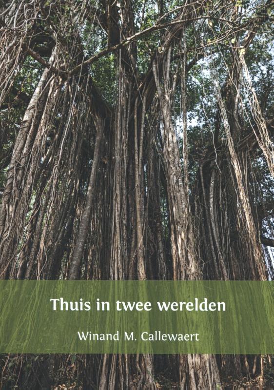 Omslag van Thuis in twee werelden