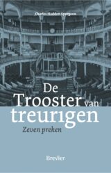 Omslag van De trooster van treurigen