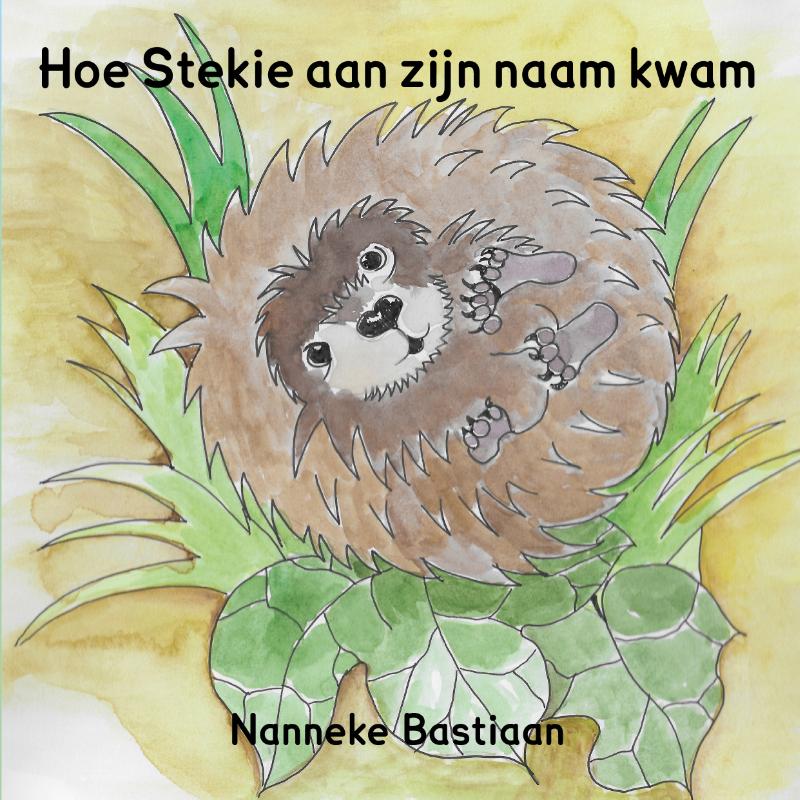 Omslag van Hoe Stekie aan zijn naam kwam
