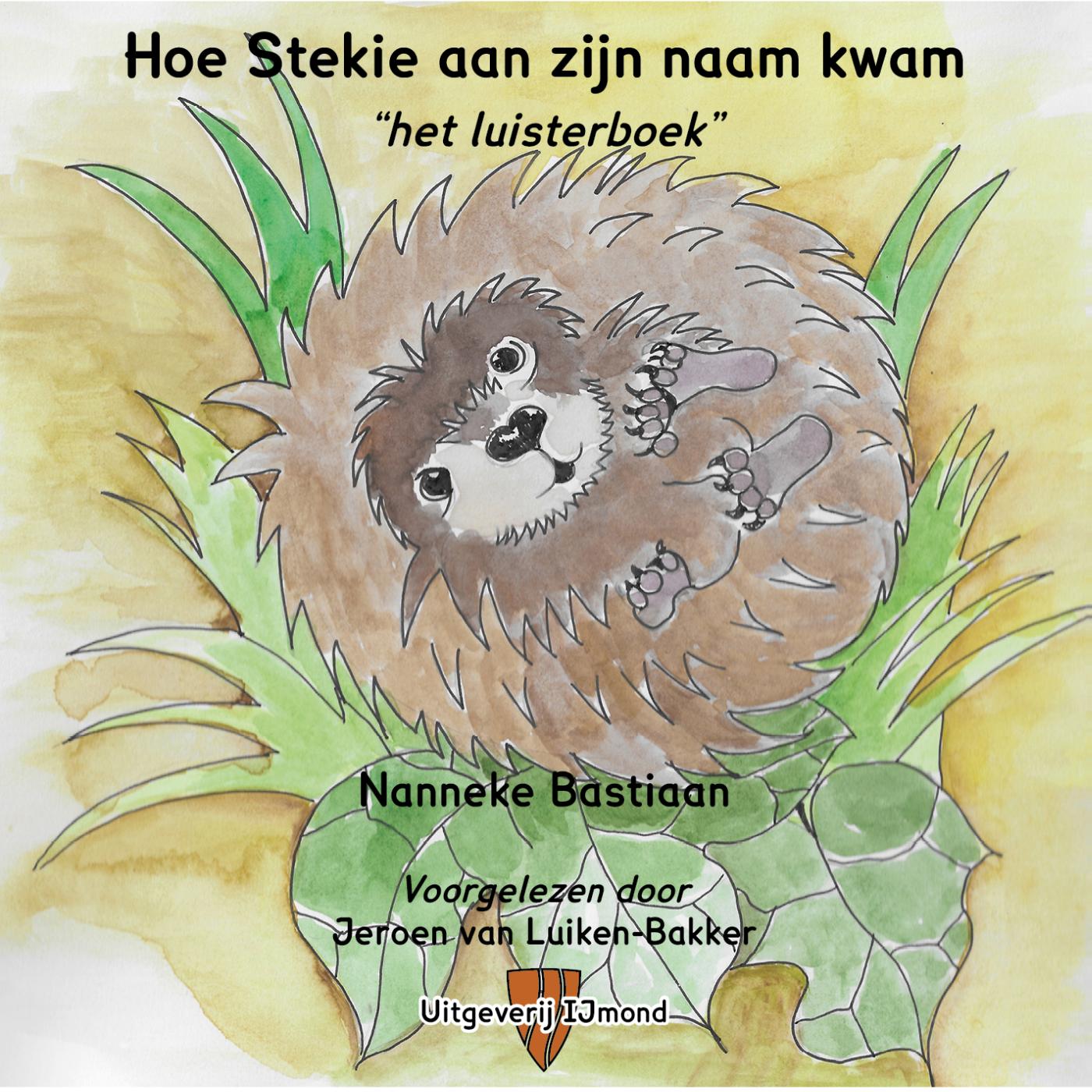 Omslag van Hoe Stekie aan zijn naam kwam