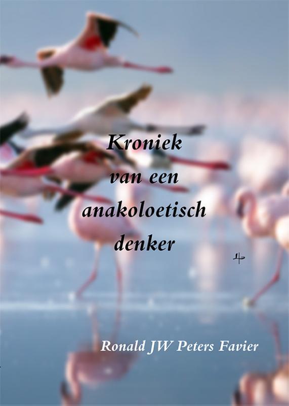 Omslag van Kroniek van een anakoelitisch denker